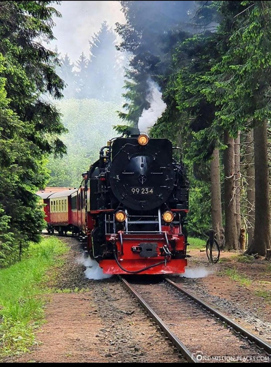 Ferienwohnung Holzmann Wernigerode Εξωτερικό φωτογραφία